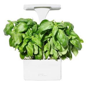 Indoor Herb Garden Planter - White and Green